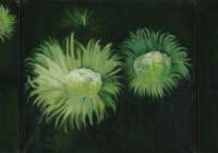 Сhrysanthemum,&nbsp;artist&nbsp;Suren&nbsp;Ayvazyan