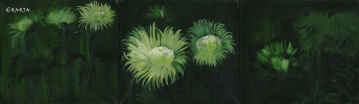 Сhrysanthemum, artist Suren Ayvazyan