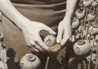 Female hand collecting opium,&nbsp;artist&nbsp;Aleksey&nbsp;Chizhov