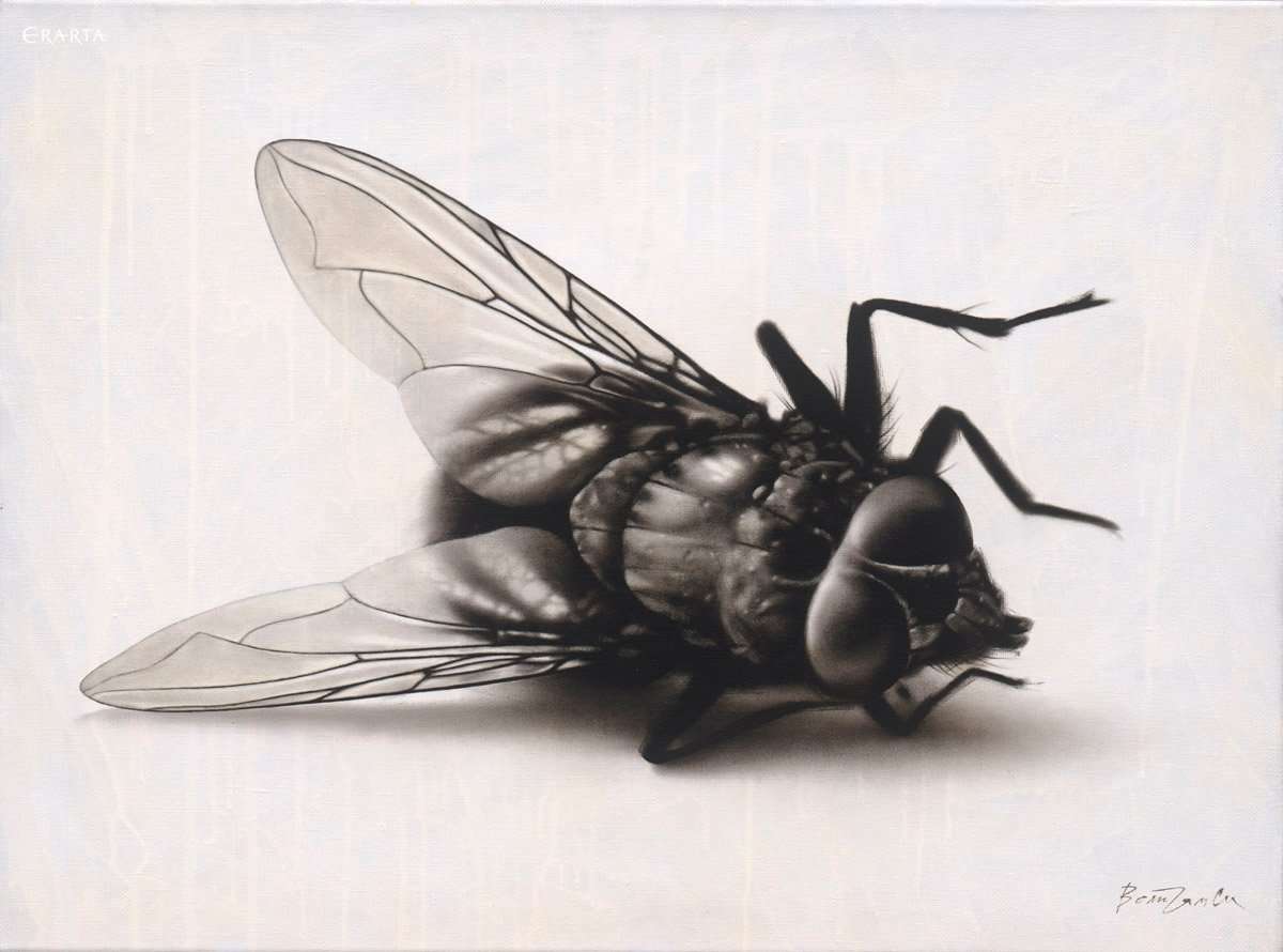 Fly, artist Rinat Voligamsi