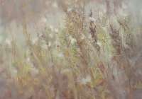 Tired grass. «Touching the wind» series,&nbsp;artist&nbsp;Denis&nbsp;Oktyabr
