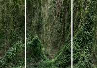 Эдем 1. Триптих из серии «Эдем»,&nbsp;художник&nbsp;Анхела&nbsp;Копелло