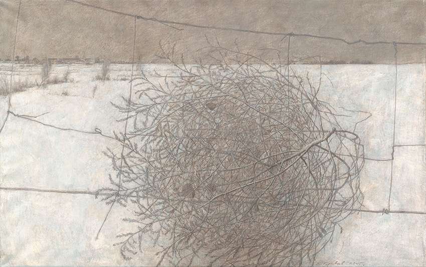 Tumbleweed,&nbsp;artist&nbsp;Evgeniy&nbsp;Kravtsov